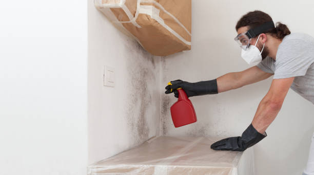 Professional Black Mold Remediation technician working in Norfolk, VA