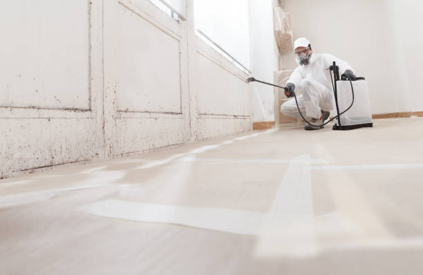 24/7 Emergency Black Mold Remediation experts in Norfolk, VA