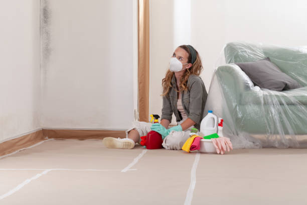 Reliable Black Mold Remediation contractor in Norfolk, VA by Car Mold Remediation